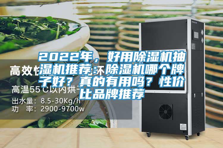 2022年，好用除濕機抽濕機推薦：除濕機哪個牌子好？真的有用嗎？性價比品牌推薦