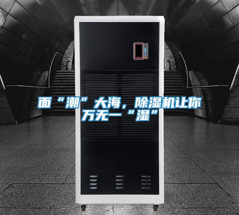 面“潮”大海，除濕機讓你萬無一“濕”