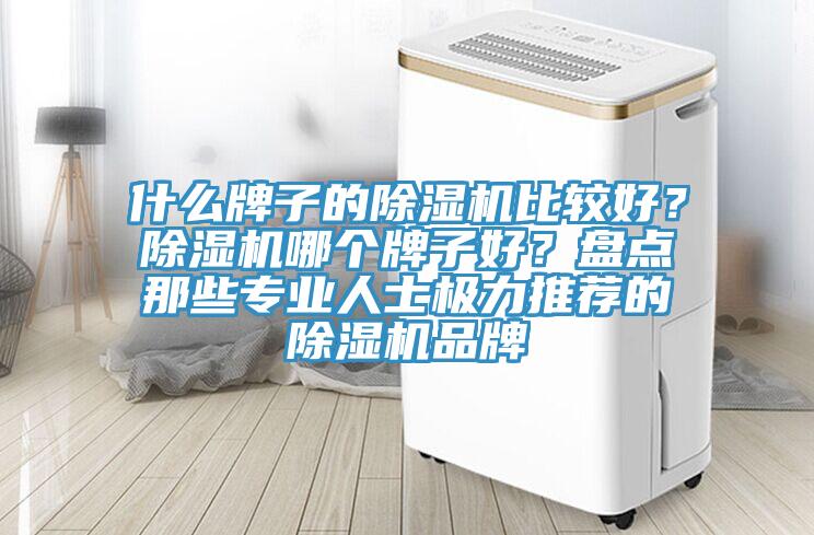 什么牌子的除濕機(jī)比較好？除濕機(jī)哪個(gè)牌子好？盤(pán)點(diǎn)那些專(zhuān)業(yè)人士極力推薦的除濕機(jī)品牌