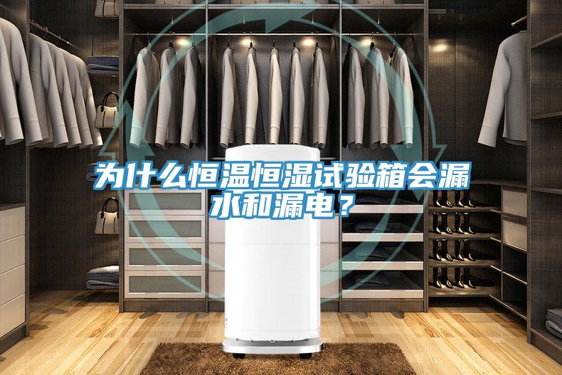 為什么恒溫恒濕試驗箱會漏水和漏電？