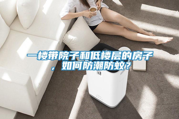 一樓帶院子和低樓層的房子，如何防潮防蚊？