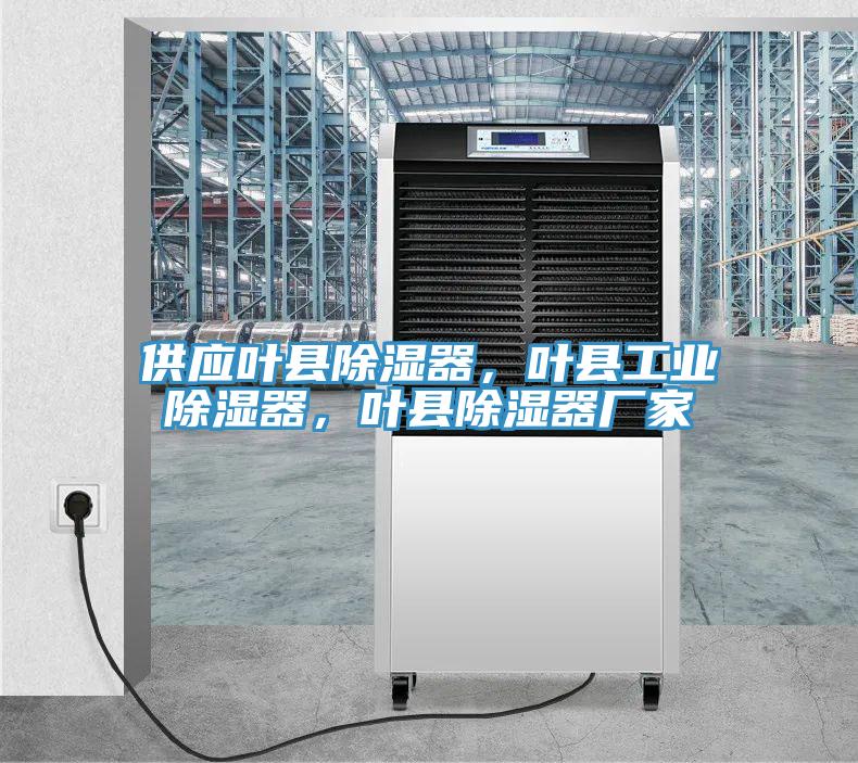 供應葉縣除濕器，葉縣工業(yè)除濕器，葉縣除濕器廠家