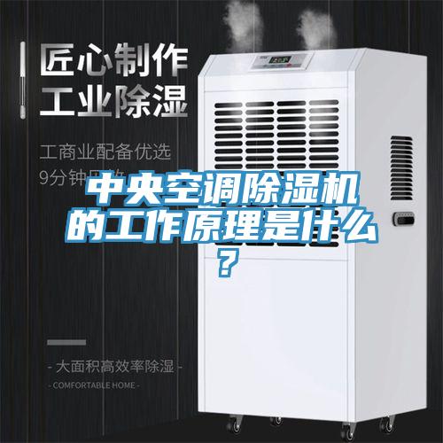 中央空調除濕機的工作原理是什么？