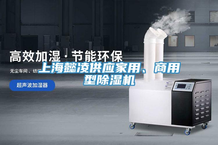 上海懿凌供應(yīng)家用、商用型除濕機