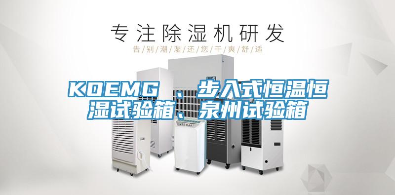 KOEMG 、步入式恒溫恒濕試驗(yàn)箱、泉州試驗(yàn)箱