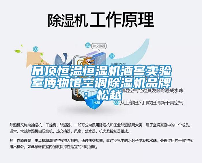 吊頂恒溫恒濕機(jī)酒窖實驗室博物館空調(diào)除濕機(jī)品牌：松越