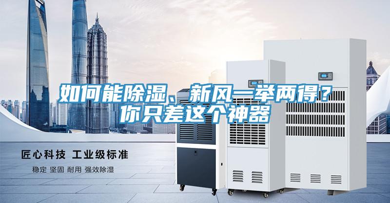 如何能除濕、新風一舉兩得？你只差這個神器