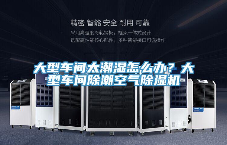 大型車間太潮濕怎么辦？大型車間除潮空氣除濕機