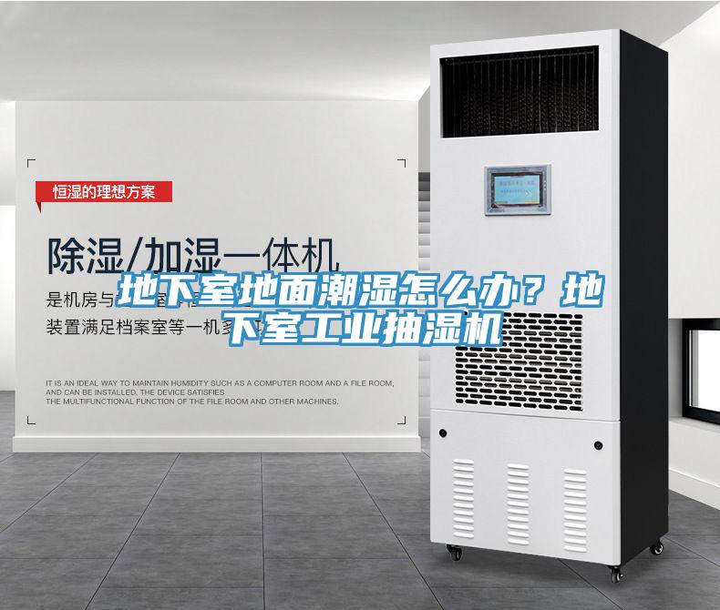 地下室地面潮濕怎么辦？地下室工業(yè)抽濕機(jī)