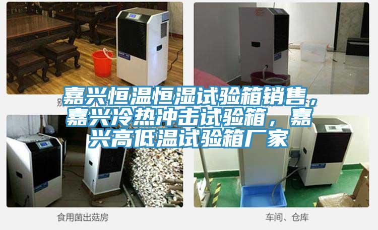 嘉興恒溫恒濕試驗(yàn)箱銷(xiāo)售，嘉興冷熱沖擊試驗(yàn)箱，嘉興高低溫試驗(yàn)箱廠家