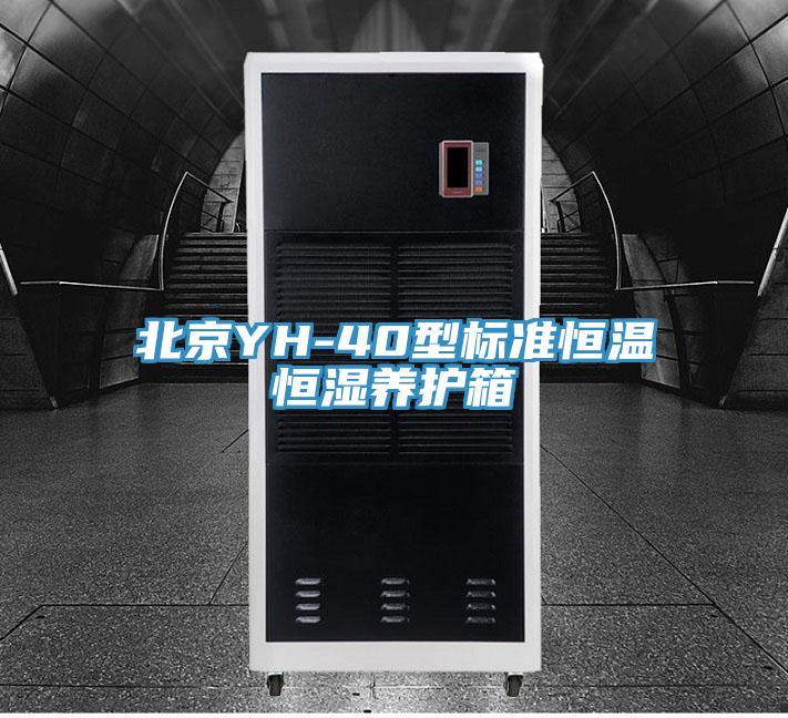 北京YH-40型標(biāo)準(zhǔn)恒溫恒濕養(yǎng)護箱
