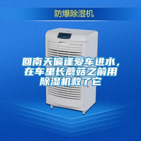 回南天偏逢愛車進(jìn)水，在車?yán)镩L蘑菇之前用除濕機救了它