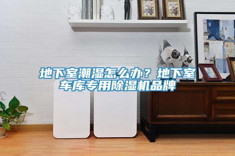 地下室潮濕怎么辦？地下室車庫專用除濕機品牌