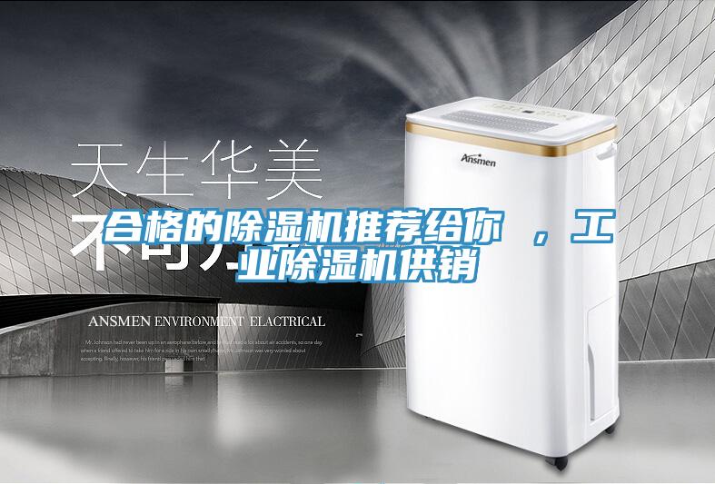 合格的除濕機(jī)推薦給你 ，工業(yè)除濕機(jī)供銷