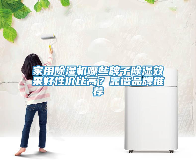 家用除濕機哪些牌子除濕效果好性價比高？靠譜品牌推薦
