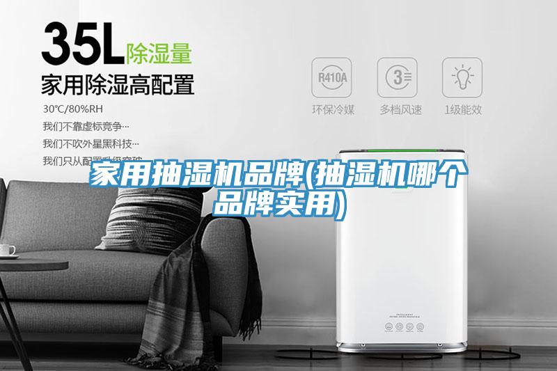 家用抽濕機(jī)品牌(抽濕機(jī)哪個品牌實用)