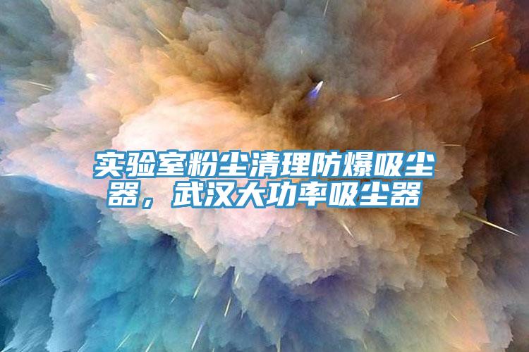 實(shí)驗(yàn)室粉塵清理防爆吸塵器，武漢大功率吸塵器
