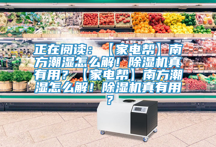 正在閱讀:【家電幫】南方潮濕怎么解!除濕機(jī)真有用?【家電幫】南方潮濕怎么解!除濕機(jī)真有用?