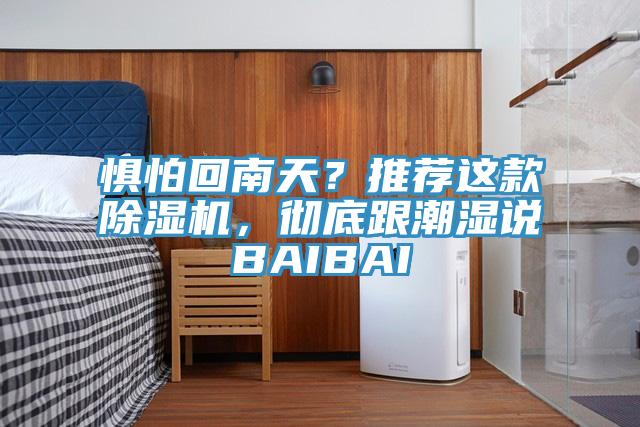 懼怕回南天？推薦這款除濕機，徹底跟潮濕說BAIBAI