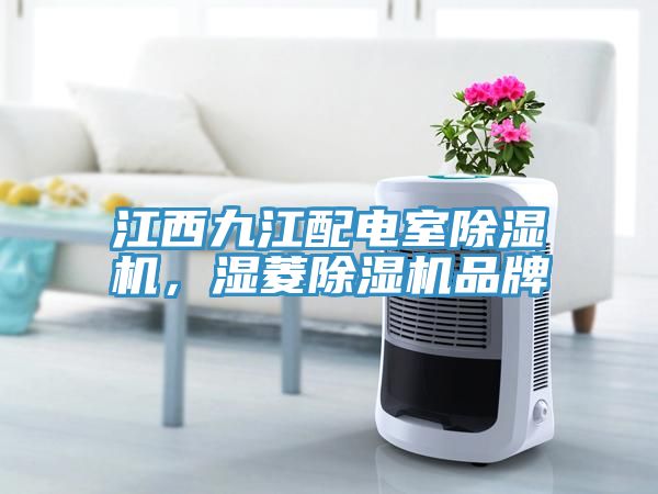 江西九江配電室除濕機(jī)，濕菱除濕機(jī)品牌