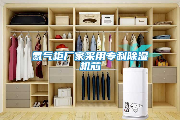 氮?dú)夤駨S(chǎng)家采用專(zhuān)利除濕機(jī)芯