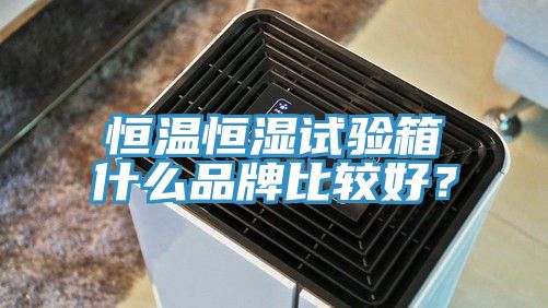 恒溫恒濕試驗(yàn)箱什么品牌比較好？