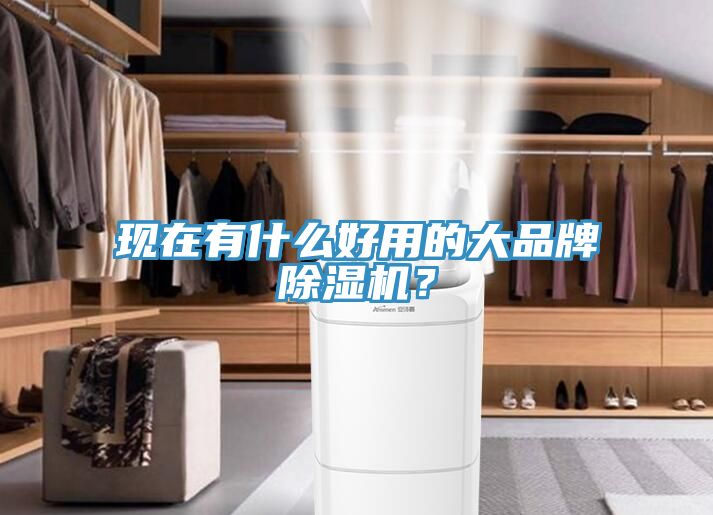 現(xiàn)在有什么好用的大品牌除濕機？