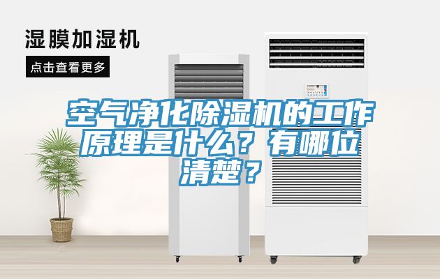 空氣凈化除濕機的工作原理是什么？有哪位清楚？