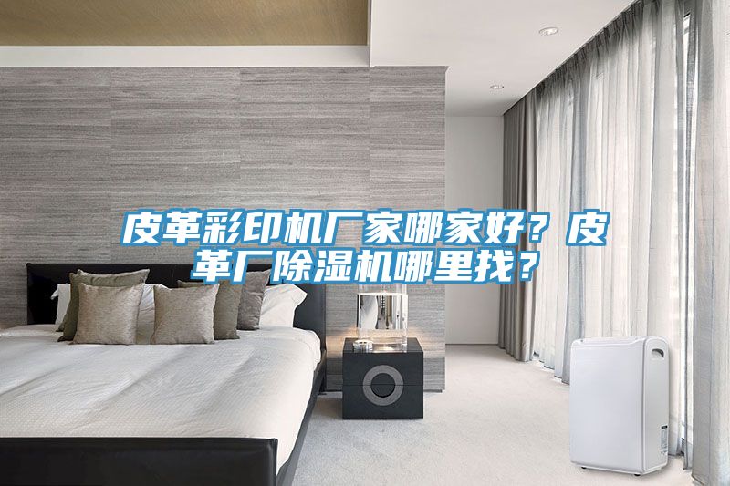 皮革彩印機廠家哪家好？皮革廠除濕機哪里找？