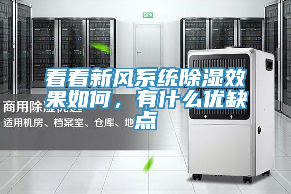 看看新風(fēng)系統(tǒng)除濕效果如何，有什么優(yōu)缺點(diǎn)