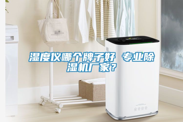 濕度儀哪個牌子好 專業除濕機廠家？