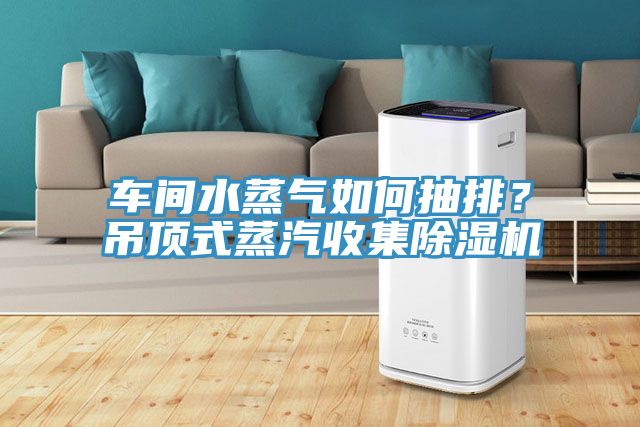 車間水蒸氣如何抽排？吊頂式蒸汽收集除濕機