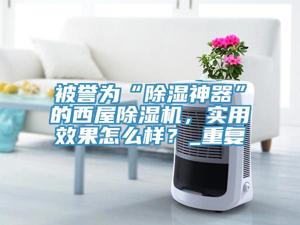 被譽(yù)為“除濕神器”的西屋除濕機(jī)，實(shí)用效果怎么樣？_重復(fù)