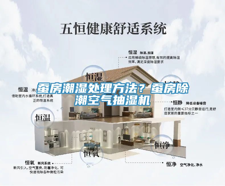 蠶房潮濕處理方法？蠶房除潮空氣抽濕機