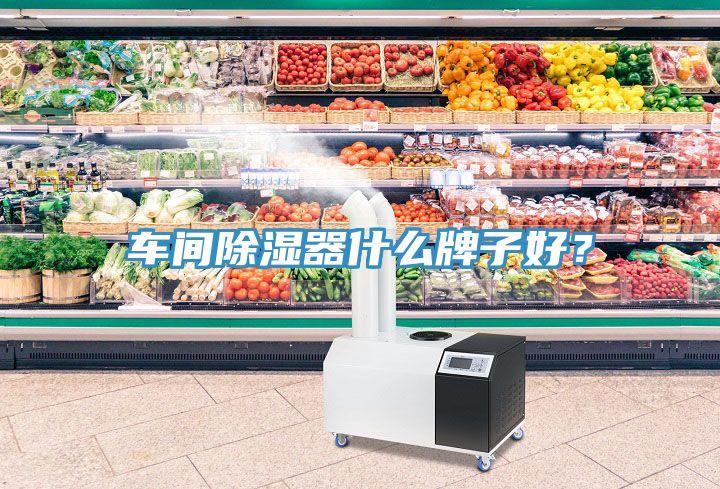 車間除濕器什么牌子好？