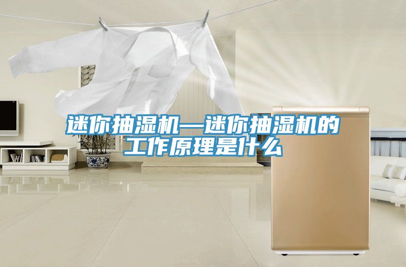 迷你抽濕機—迷你抽濕機的工作原理是什么