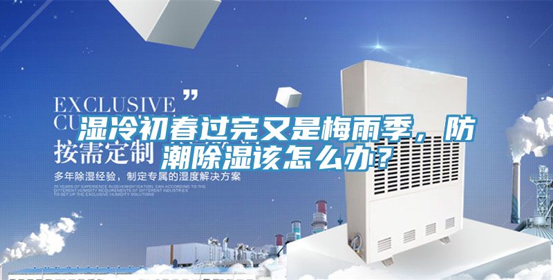 濕冷初春過完又是梅雨季，防潮除濕該怎么辦？