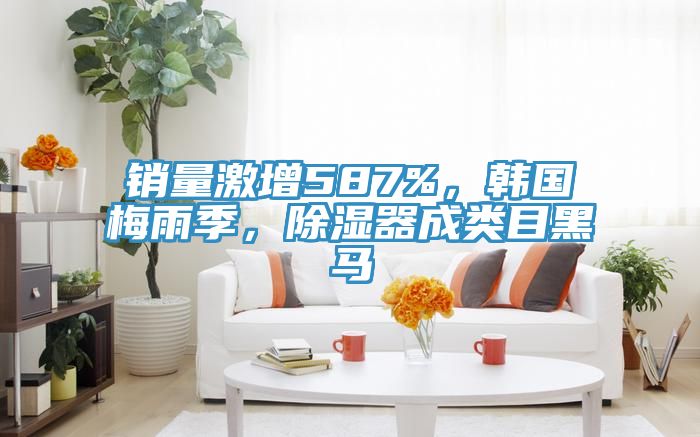 銷量激增587%，韓國(guó)梅雨季，除濕器成類目黑馬