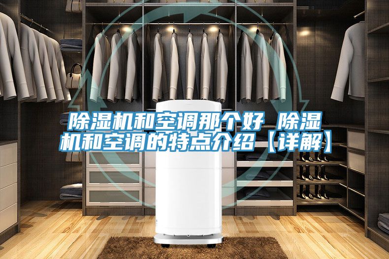 除濕機(jī)和空調(diào)那個好 除濕機(jī)和空調(diào)的特點(diǎn)介紹【詳解】