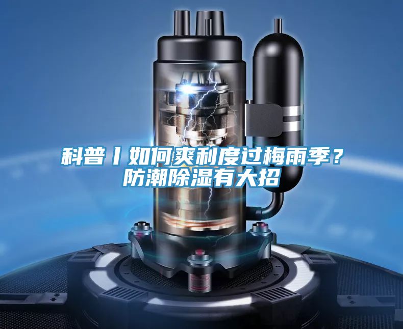 科普丨如何爽利度過梅雨季?防潮除濕有大招