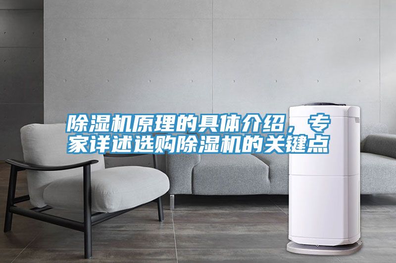 除濕機原理的具體介紹，專家詳述選購除濕機的關鍵點