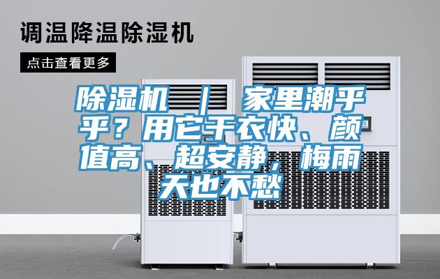 除濕機 | 家里潮乎乎?用它干衣快、顏值高、超安靜,梅雨天也不愁
