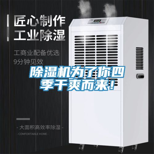 除濕機為了你四季干爽而來！