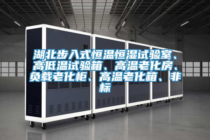 湖北步入式恒溫恒濕試驗室、高低溫試驗箱、高溫老化房、負載老化柜、高溫老化箱、非標