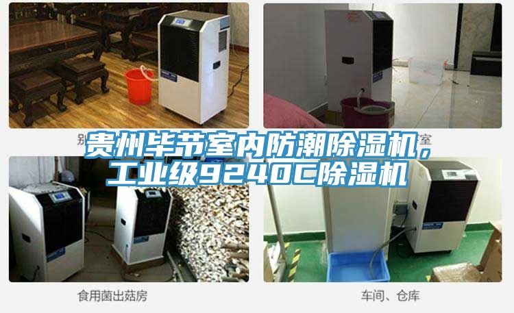 貴州畢節室內防潮除濕機,工業級9240C除濕機