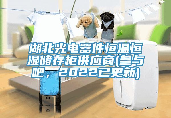 湖北光電器件恒溫恒濕儲(chǔ)存柜供應(yīng)商(參與吧，2022已更新)