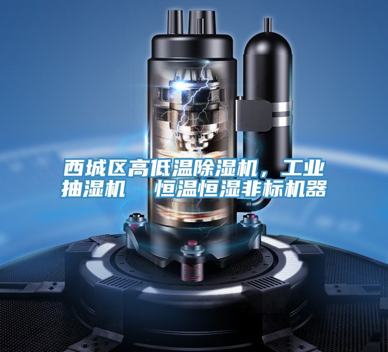 西城區高低溫除濕機,工業抽濕機 恒溫恒濕非標機器
