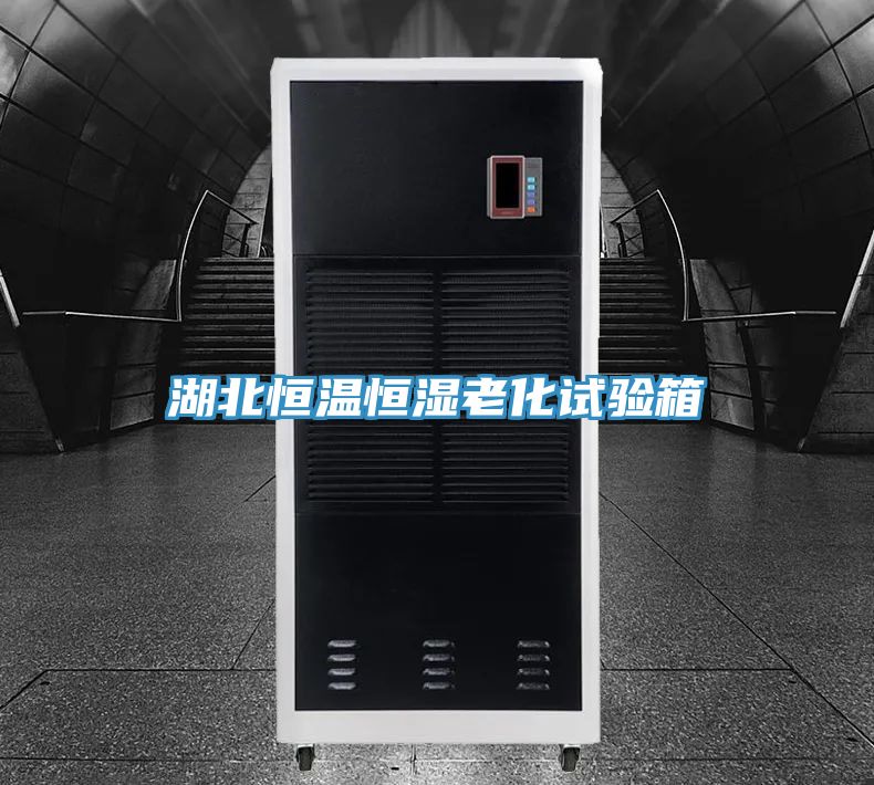 湖北恒溫恒濕老化試驗(yàn)箱
