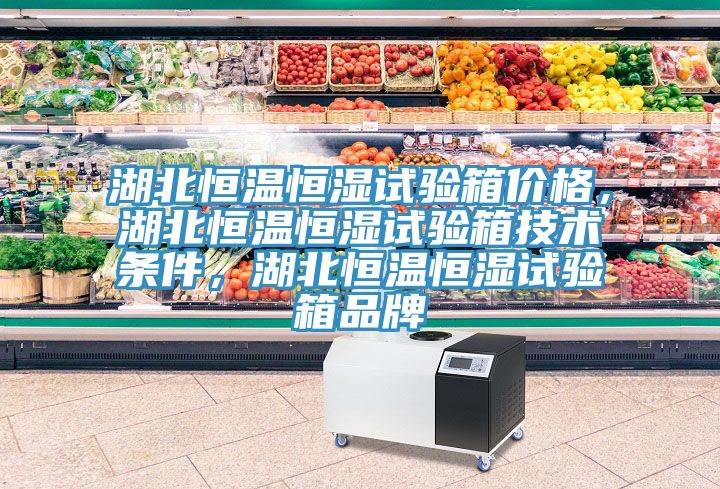 湖北恒溫恒濕試驗(yàn)箱價(jià)格，湖北恒溫恒濕試驗(yàn)箱技術(shù)條件，湖北恒溫恒濕試驗(yàn)箱品牌