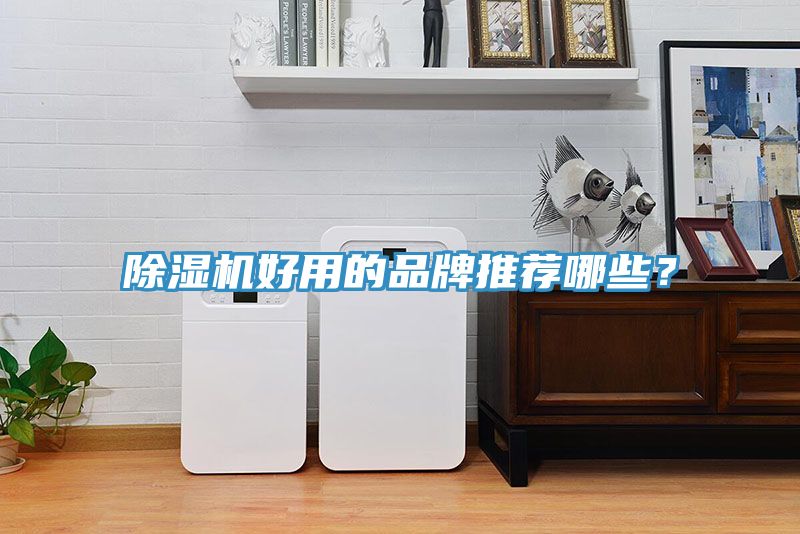 除濕機(jī)好用的品牌推薦哪些?